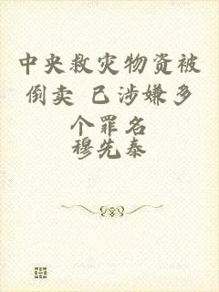 中央救灾物资被倒卖 已涉嫌多个罪名
